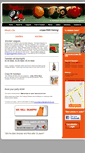 Mobile Screenshot of orangemonkeybilliards.com